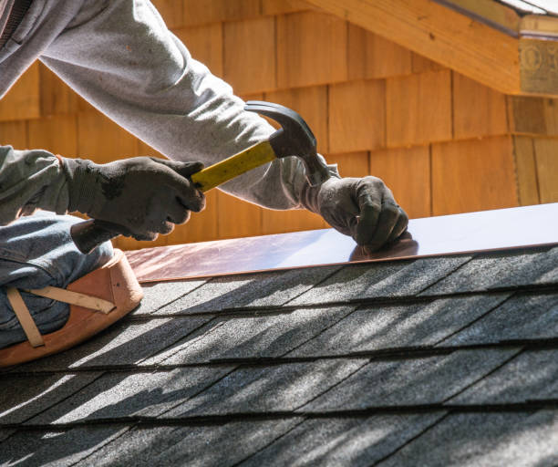 Best Roof Gutter Cleaning  in River Road, NC